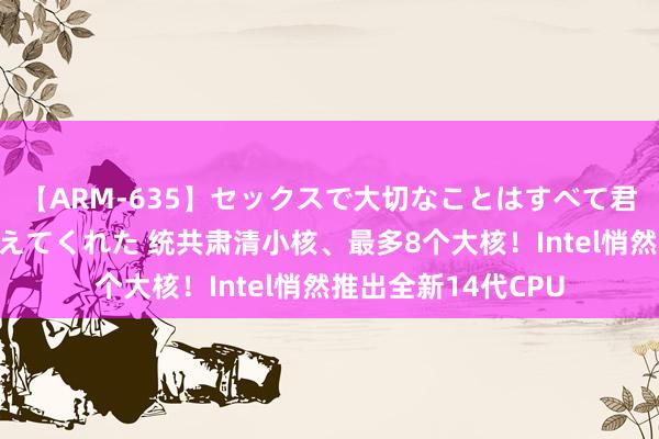 【ARM-635】セックスで大切なことはすべて君とのオナニーが教えてくれた 统共肃清小核、最多8个大核！Intel悄然推出全新14代CPU