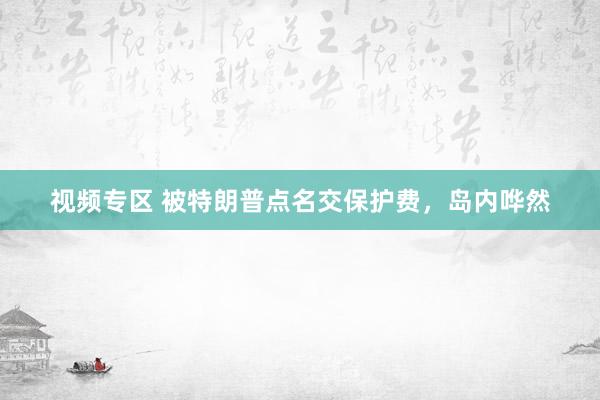 视频专区 被特朗普点名交保护费，岛内哗然