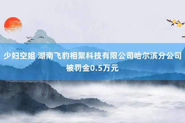 少妇空姐 湖南飞豹相聚科技有限公司哈尔滨分公司被罚金0.5万元