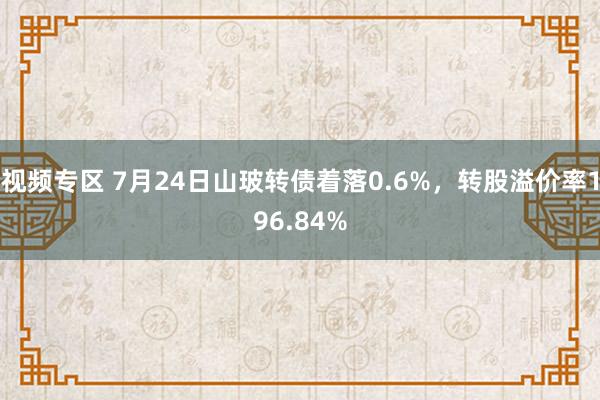 视频专区 7月24日山玻转债着落0.6%，转股溢价率196.84%