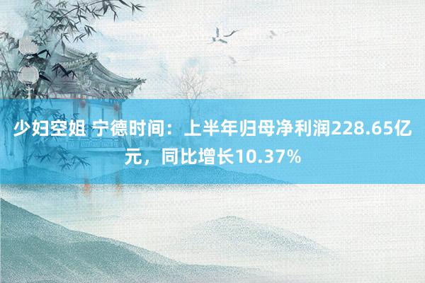 少妇空姐 宁德时间：上半年归母净利润228.65亿元，同比增长10.37%