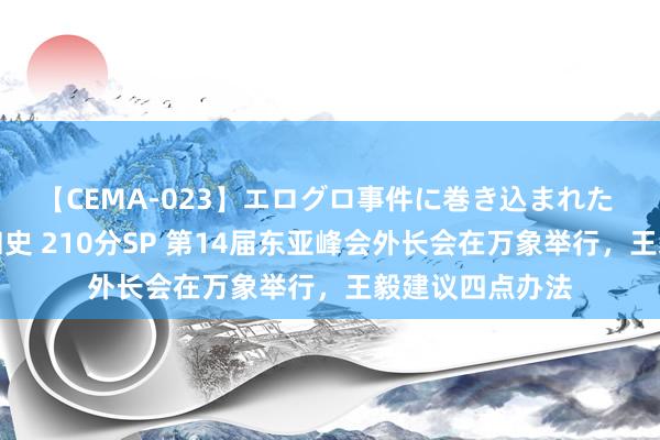 【CEMA-023】エログロ事件に巻き込まれた 人妻たちの昭和史 210分SP 第14届东亚峰会外长会在万象举行，王毅建议四点办法