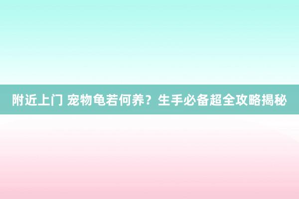 附近上门 宠物龟若何养？生手必备超全攻略揭秘