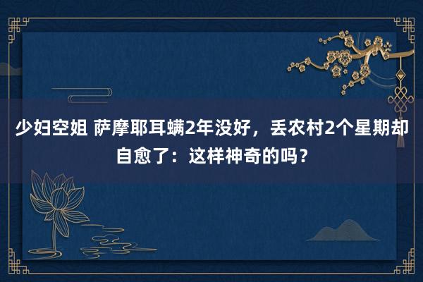 少妇空姐 萨摩耶耳螨2年没好，丢农村2个星期却自愈了：这样神奇的吗？