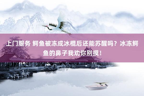 上门服务 鳄鱼被冻成冰棍后还能苏醒吗？冰冻鳄鱼的鼻子我劝你别摸！