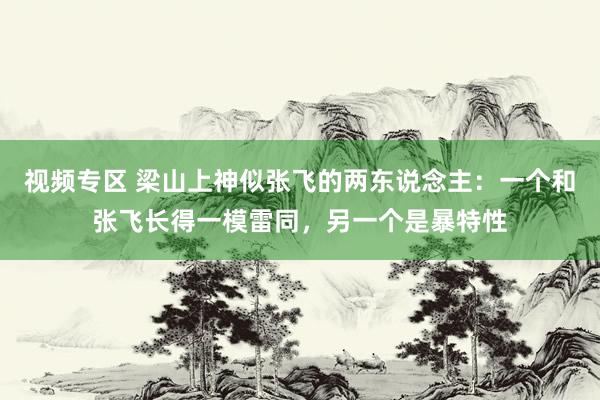 视频专区 梁山上神似张飞的两东说念主：一个和张飞长得一模雷同，另一个是暴特性