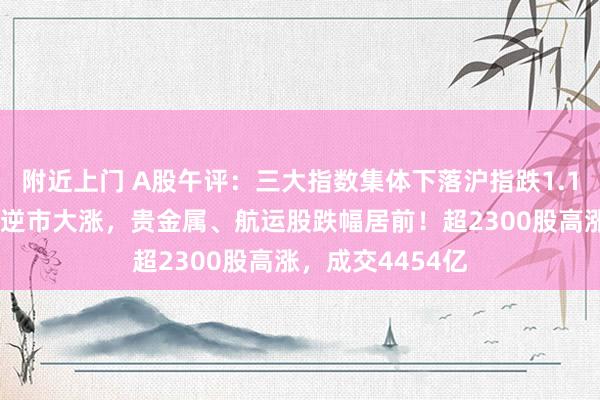 附近上门 A股午评：三大指数集体下落沪指跌1.1%，半导体板块逆市大涨，贵金属、航运股跌幅居前！超2300股高涨，成交4454亿