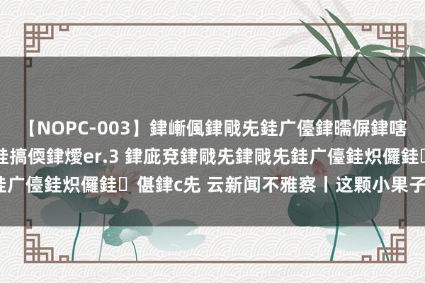 【NOPC-003】銉嶃偑銉戙兂銈广儓銉曘偋銉嗐偅銉冦偡銉ャ儫銉ャ兗銈搞偄銉燰er.3 銉庛兗銉戙兂銉戙兂銈广儓銈炽儸銈偡銉с兂 云新闻不雅察丨这颗小果子, 值得你细品