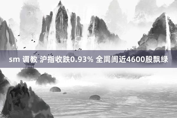 sm 调教 沪指收跌0.93% 全阛阓近4600股飘绿