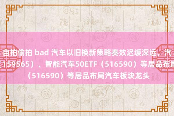 自拍偷拍 bad 汽车以旧换新策略奏效迟缓深远，汽车零部件ETF（159565）、智能汽车50ETF（516590）等居品布局汽车板块龙头