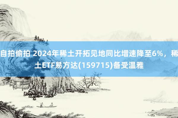 自拍偷拍 2024年稀土开拓见地同比增速降至6%，稀土ETF易方达(159715)备受温雅