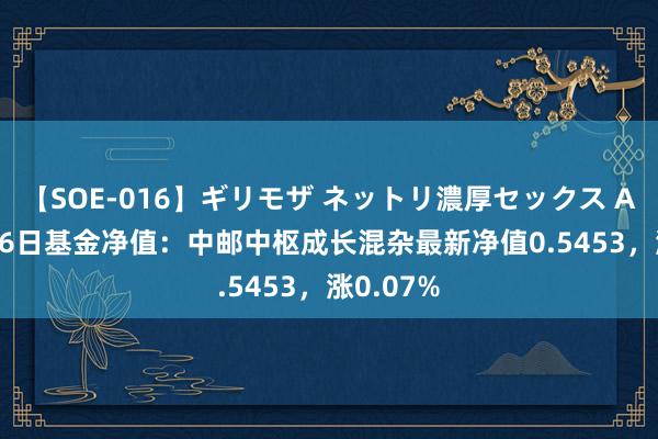 【SOE-016】ギリモザ ネットリ濃厚セックス Ami 8月26日基金净值：中邮中枢成长混杂最新净值0.5453，涨0.07%