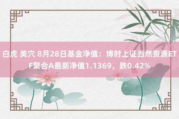 白虎 美穴 8月28日基金净值：博时上证当然资源ETF聚合A最新净值1.1369，跌0.42%