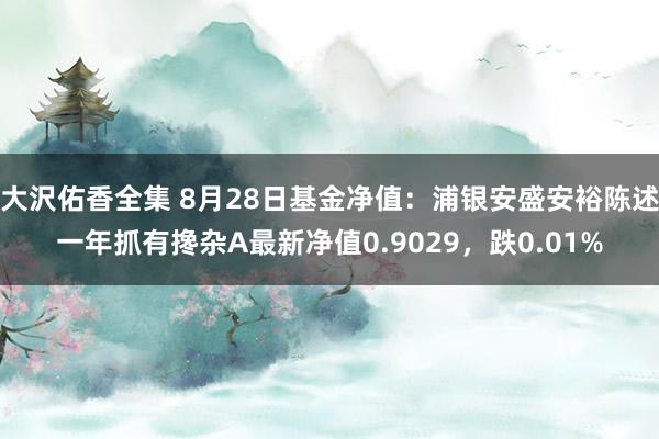 大沢佑香全集 8月28日基金净值：浦银安盛安裕陈述一年抓有搀杂A最新净值0.9029，跌0.01%