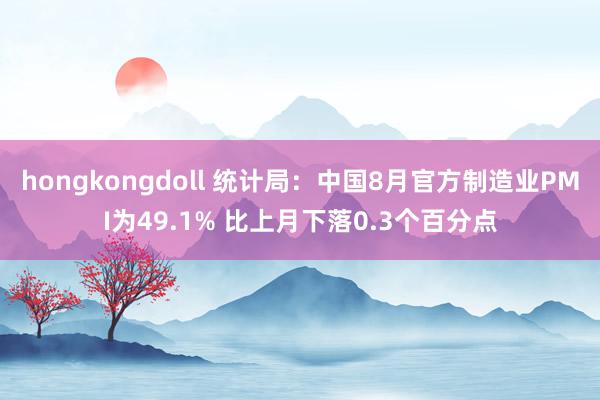 hongkongdoll 统计局：中国8月官方制造业PMI为49.1% 比上月下落0.3个百分点