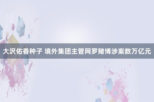 大沢佑香种子 境外集团主管网罗赌博涉案数万亿元