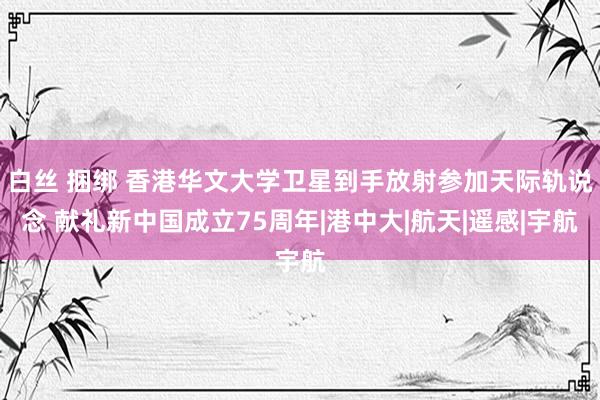 白丝 捆绑 香港华文大学卫星到手放射参加天际轨说念 献礼新中国成立75周年|港中大|航天|遥感|宇航