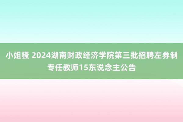 小姐骚 2024湖南财政经济学院第三批招聘左券制专任教师15东说念主公告