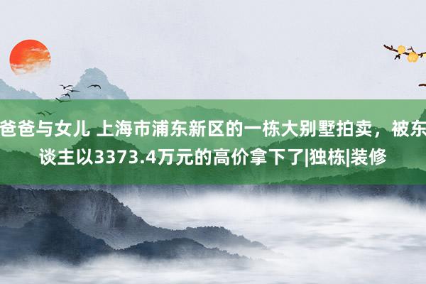 爸爸与女儿 上海市浦东新区的一栋大别墅拍卖，被东谈主以3373.4万元的高价拿下了|独栋|装修