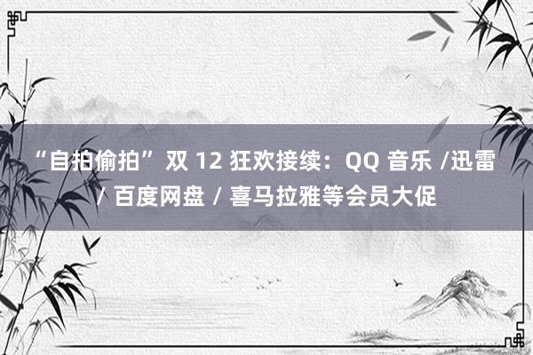 “自拍偷拍” 双 12 狂欢接续：QQ 音乐 /迅雷 / 百度网盘 / 喜马拉雅等会员大促