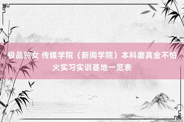 极品熟女 传媒学院（新闻学院）本科磨真金不怕火实习实训基地一览表